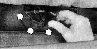 5.21a. На некоторых медалях, например, Galant, топливный насос снимается через боковую сторону…