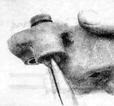 4.13. Для снятия втулки штыря опорного диска зажмите ее острогубцами, поверните и вытяните через…