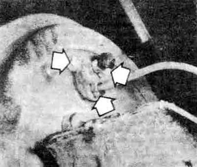 7.4. Отсоедините соединения тормозного трубопровода, затем отвинтите два болта тормозного цилиндра…